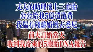 丈夫的助理懷上三胞胎，公公給我5億遣散費，我揣著錢離婚搬去悉尼，前夫訂婚當天，收到我寄來的5胞胎DNA報告#故事頻道 #爱情故事 #情感故事 #出軌 #婚姻 #小说