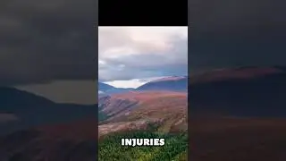 9 hikers mysteriously died in the Ural Mountains in 1959. Avalanche or UFO? #mystery #Dyatlov