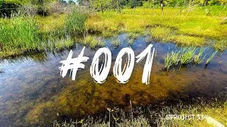 Don't hesitate just start applying | Project 334 #001