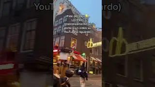 Ragazza alla pari per caso ad Amsterdam ep 247/301