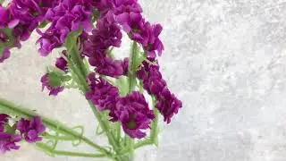 Букет лимониум