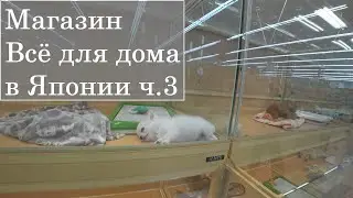 Япония  Крупнейший хоум центр где есть всё ч3 Домашние питомцы, товары для спорта, растения и т п
