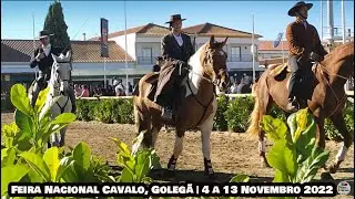 Feira Nacional do Cavalo, Golegã 2022