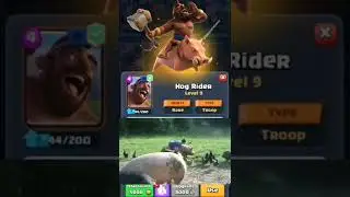 Hog Rider In REAL LIFE #clashroyale #cr #hog #hogrider #HOGRIDAAA #shorts