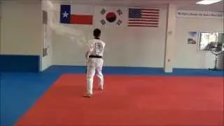 Taeguk Sah Jang (Purple Belt Poomse)