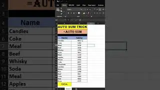 Excel AutoSum Shortcut | 1 Second Me Total 🔥