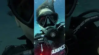 🤿 &ldquo;Me SUMERG&Iacute; en TENERIFE&hellip; y el oc&eacute;ano me REGAL&Oacute; un ESPECT&Aacute;CULO INCRE&Iacute;BLE 🐠✨&rdquo;