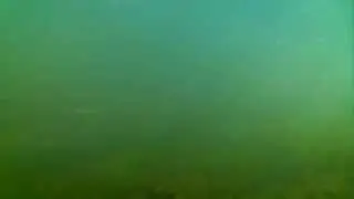 Kanaal Gent-Terneuzen onder water | underwater