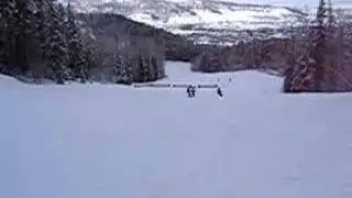 Shredder Girl