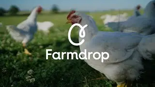 The Independent Farmers Taking On Factory Farmed Chicken - Fosse Meadows Farm