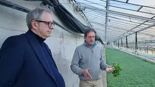 Come mai il basilico di Prà è il migliore basilico?