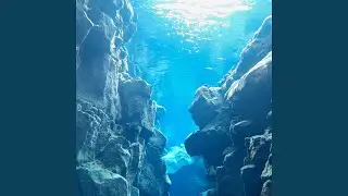 Star in the Sea