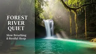 Natural Forest Ambience with Gentle Water Flow for Study Meditation Inner Peace and Stress Relief