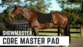 Showmaster Core Master Pad for Horses & Ponies - Greg Grant Saddlery
