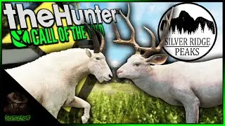 A Day On Silver Ridge Peaks Got Us This! Albino Mule Deer & Diamond Mountain Goat!