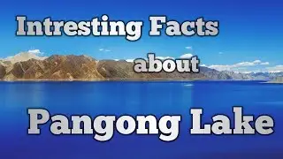 Incredible Facts about Pangong Lake, India... Knowledge Farm