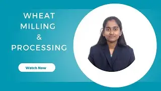 WHEAT MILLING|POST HARVEST ENGINEERING OF CEREALS, PULSES AND OILSEEDS| SNS INSTITUTIONS