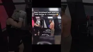 Sean Strickland sparing Japan K-1 champion‼️ #ufc #boxing #mma #fighting #sports #funny #danawhite