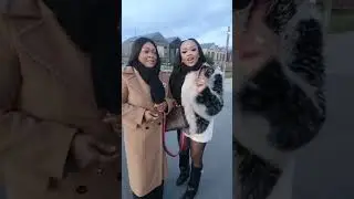 Sila Bisalu Officiel est en direct !