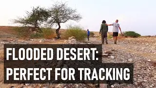 Tom is tracking animals in Isra&euml;l (3 of 4)