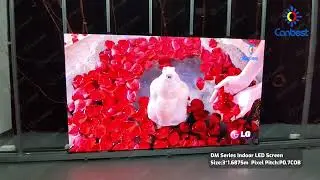 Canbest DM COB Series: Dual Backup Micro LED Screens