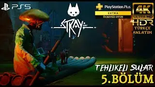 TEHLİKELİ SULAR - PS PLUS EXTRA &Uuml;CRETSİZ OYUN | STRAY (PS5) 4K 60FPS HDR T&uuml;rk&ccedil;e B&ouml;l&uuml;m 5