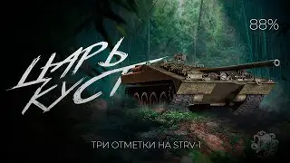БУДЕТ ЛИ ФИНАЛ? 🐙 STRV S1 - 88% ОТМЕТКИ