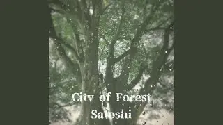 City of Forest