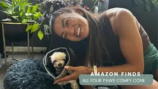 Amazon Find: All Four Paws Comfy Cone Pet Cone for Dogs & Cats