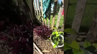 Home + Land For Sale | Missouri Home Tour