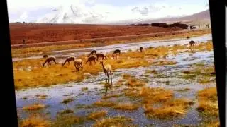 Illapu - Divagaciones (Vacaciones 2015 San Pedro de Atacama)