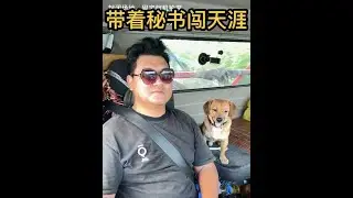 月底了一家伙发两车，路上给俺叔做伴，好歹有个照应，不能单独行动，否则的话光挨锤😅😅#卡车司机 #货车司机 #货运 #货车司机收入