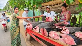 Wow! Sri Lankan Fish Market The Surprising Role of Village Storytellers Life