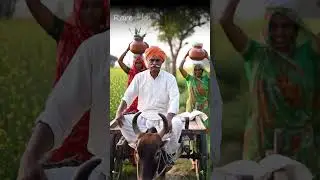 Indian Village Life | Farmers on Bullock Cart & Women Carrying Clay Pots | Mustard Fields #shorts
