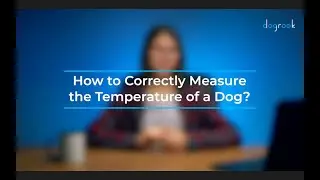 How to Correctly Measure the Temperature of a Dog? - Podcast by DogRook