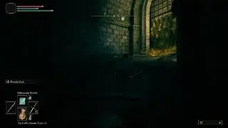 Eldenring Margitfight at lvl 17