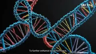 Understanding phi29 HT DNA Polymerase in 60 Seconds