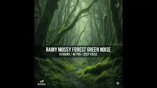 Rainy Mossy Forest Green Noise - 10 Hours 4K POV for Deep Focus & Neural Relief