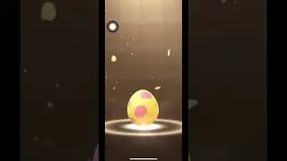 Is this #Pokemon egg hatching into something else? #game #pokemongo #pokemon #hunter #map