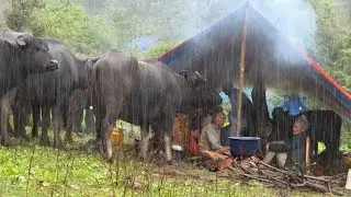 Remote Himlyan Life In Nepal l Simple Living  Peaure Nature l Best Himlyan Lifestyle l Peaceful Life