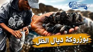 كيف تصطاد اسماك الشرغو الكبيرة باستعمال بوزروگ او بلح البحر .. طريقة فعالة و طعم ممتاز و مجاني