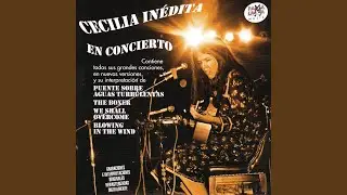 Don Roque (Live)
