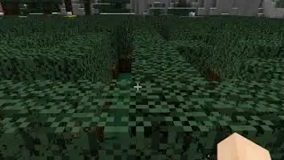 The Maze   Clover's Advent Calendar Day 7