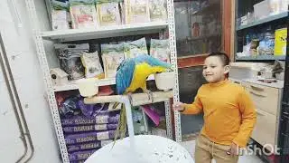 চলে আসলাম ||  Doha Qater souq waqif  |🇧🇭