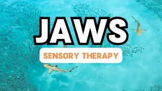 Shark In The Water and Ambient Sound || Autism Sensory Therapy