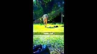 Gustav Video!