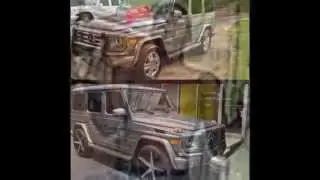 wildcrew