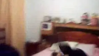 videos caseros