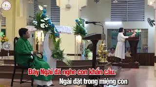 Đ&Aacute;P CA. TV39 CN20 TN NĂM C/ St: Lm Th&aacute;i Nguy&ecirc;n/Lĩnh xướng. Uy&ecirc;n Phương