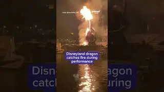 Disneyland dragon catches on fire #shorts